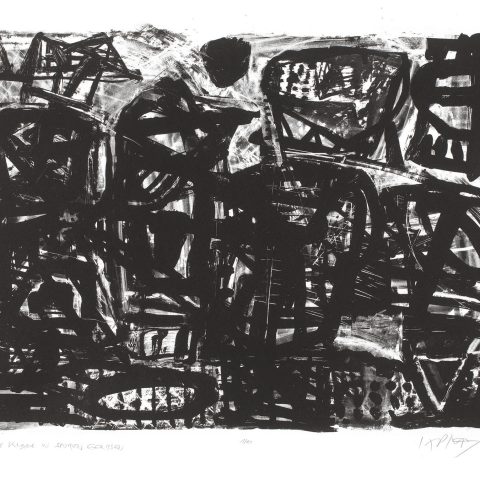 VERHALTENE KLAGE IN SPUREN GERISSEN 1996, Lithografie/Bütten, 44 x 63 cm